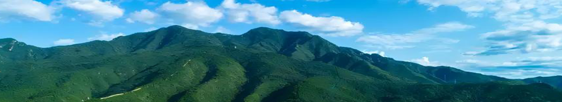 page_banner